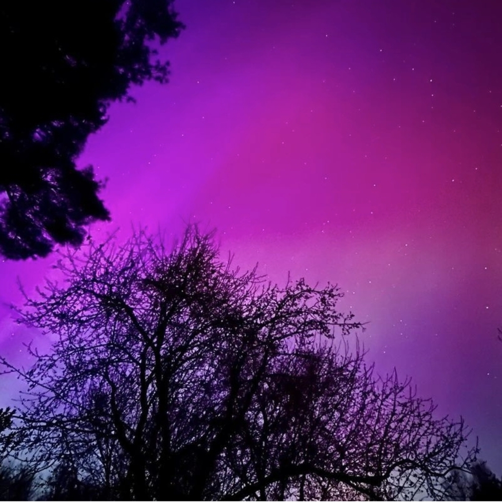 Once in a lifetime Northern lights in Nor Cal. 5/2024 - Picture 3 of 5